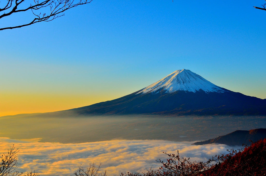 Mont Fuji Techwear